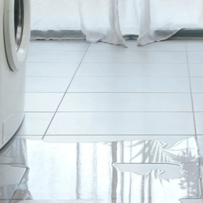 Appliance Leak Cleanup in Bourg, LA