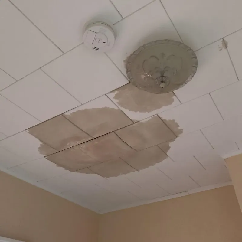 Ceiling Water Damage Repair in Bourg, LA